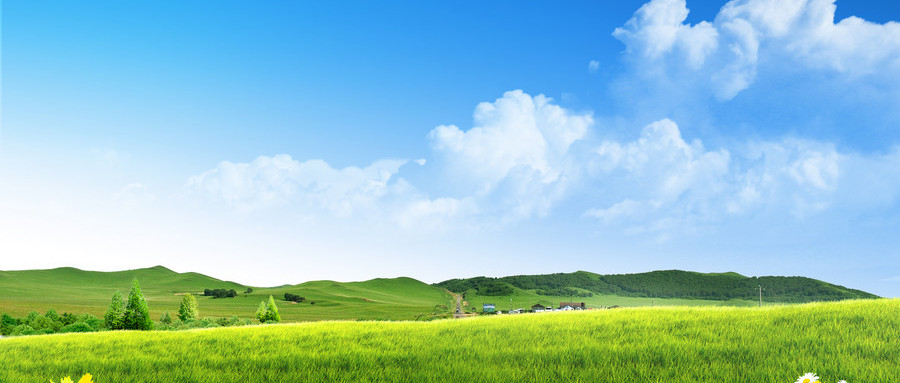 仙居學辦公軟件與計算機軟件開發 費用、路徑與前景解析