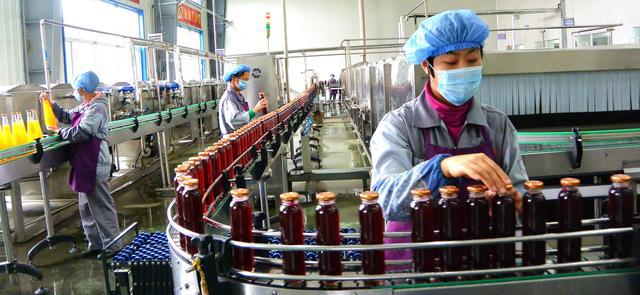 白山藍莓 以酒技術開發引領鄉村振興的大產業