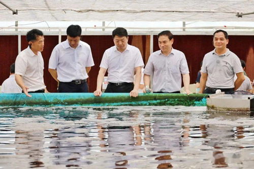 農(nóng)業(yè)農(nóng)村部部署推進(jìn)水產(chǎn)綠色健康養(yǎng)殖技術(shù)推廣 五大行動(dòng)