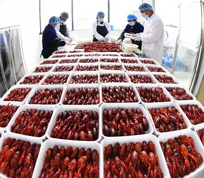 【新時(shí)代 新作為 新篇章】城市新青年:我們,正青春!