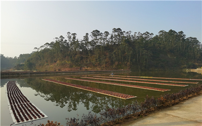 市中區(qū):專業(yè)指揮部&ldquo;夯基&rdquo; 園區(qū)建設出彩出效