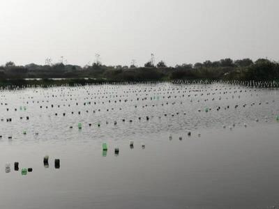 農民日報:以行業(yè)發(fā)展為己任 --記上海海洋大學淡水珍珠蚌種質資源創(chuàng)新研發(fā)團隊