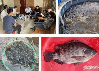 南海所&ldquo;高密度對蝦+海水羅非魚異位串聯(lián)的生物絮團零換水養(yǎng)殖技術(shù)&rdquo;試驗示范通過測產(chǎn)驗收