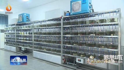 總產值65億元!達州已認定現代農業園區42個,總面積59.7萬畝