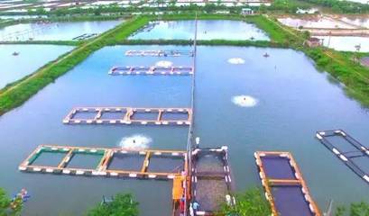 喜訊！斗門8家企業榮登省級水產養殖榜單，實力彰顯產業新高度