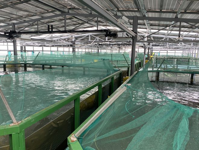 浙江首批“未來農場”公布 十大休閑觀光新地標，體驗未來農業新魅力