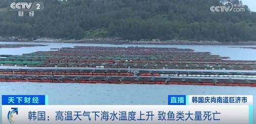 損失超1.5億元！魚類大量死亡重創水產養殖業，技術研發迫在眉睫